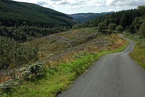 Road in the Dyfi Forest - geograph.org.uk - 1454175