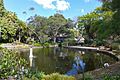 Royal Botanic Gardens Sydney Lotus Pond in Winter 201708