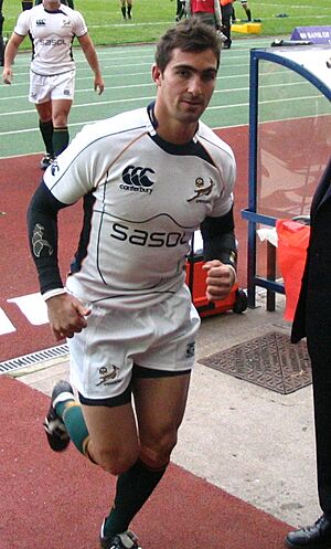 Ruan Pienaar, Springbok