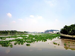 Sông Sài Gòn ở Thủ Dầu Một