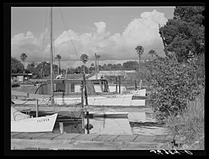 Sarasota, Dade City, and Tampa, Fla. Jan., 1941. High class trailer camp at Sarasota