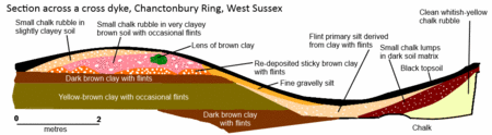Section through cross dyke, Chanctonbury Ring