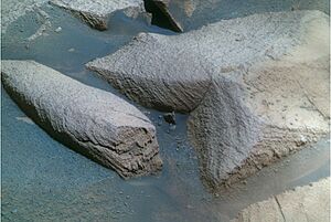 Sol1341B P2594 1 False L257 br