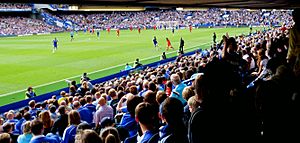 Stamford bridge2014
