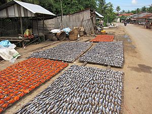 Sun-dried shark minnows and snakehead fish in Battambang