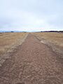 Table Rock Airstrip