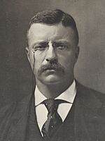 Theodore Roosevelt 1901 Portrait (3x4 cropped).jpg