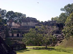 Tikal, Central Acropolis 02