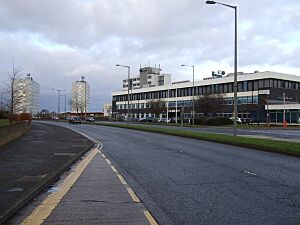 Trenchard Avenue, Thornaby-on-Tees - geograph.org.uk - 3279661