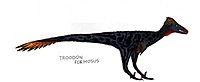 Troodon (cropped).jpg