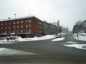 Tumba in February 2006