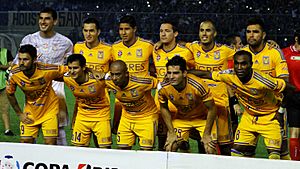 UANL Tigres 2015 - копия (10)