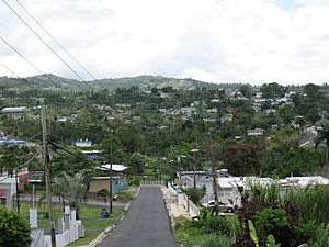 Street and homes on mountainside in Unibón