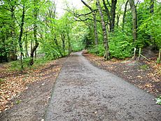 Upper Don Walk in Beeley Wood
