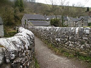 Viator Bridge, Milldale - geograph.org.uk - 709149