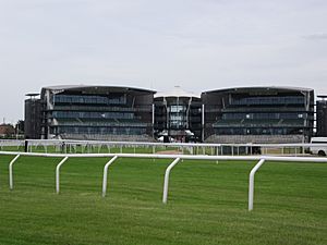 View of Aintree Racecourse from The Melling Road (10)