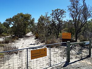 Wandi Nature Reserve, Western Australia, March 2020 01
