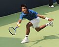 XIX Commonwealth Games-2010 Delhi Somdev Devvarman of India in action against Amresh Jayawickreme of Sri Lanka, at R.K. Khanna Tennis Stadium, in New Delhi on October 06, 2010