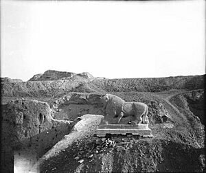 أسد بابل 1909