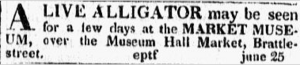 1821 alligator MarketMuseum BostonDailyAdvertiser Aug3
