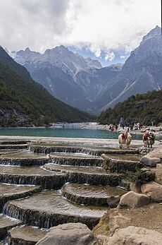 1 yulong xueshan yak 2012