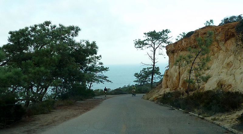 2010-1026-TorreyPinesParkRd