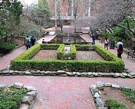 2016 Brooklyn College Lily Pond