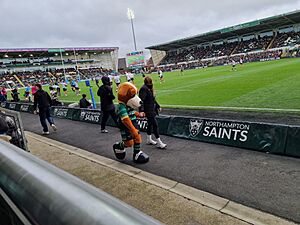 2023-24 English Premiership Northampton Saints vs Bristol Bears 20231021 153855