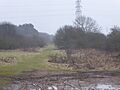 Barford Wood and Meadows 3