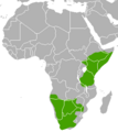 Bat-eared Fox area