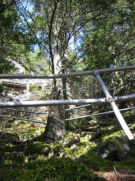 Beacon Rock railings