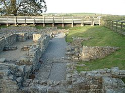 Binchester Roman Fort.jpg