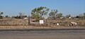 Blackwater Draw archaeological site, entrance from E 1