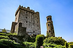 Blarney Castle Ireland.jpg