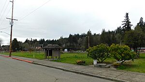Bucoda, Washington 02