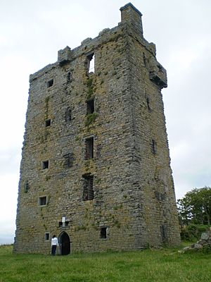 Carrigaholt castle 2
