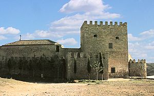 Castle of Argamasilla de Alba