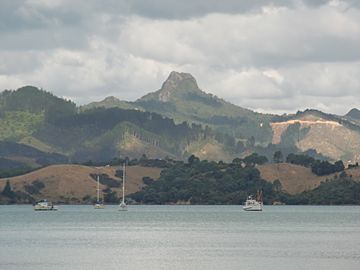 Castle Rock, Waikato.jpg