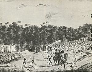Castle hill irish rebellion of 1804 australia