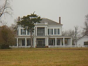Cedar Grove Planatation 02