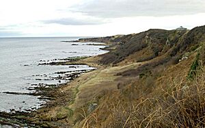Coastline by Kinkell - geograph.org.uk - 323084