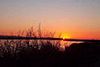 Cosumnes River Preserve