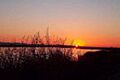 Cosumnes River Preserve