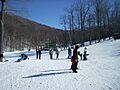 DHSP Skiin'