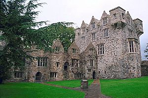 Donegalcastle