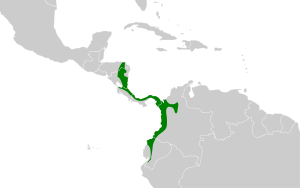 Epinecrophylla fulviventris map.svg