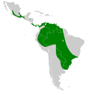 Eptesicus brasiliensis map.svg