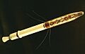 Explorer1