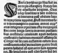 Extract from the legend of Saint Wihtburh by John of Tynemouth