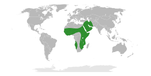 Faidherbia alba Distribution Map.svg